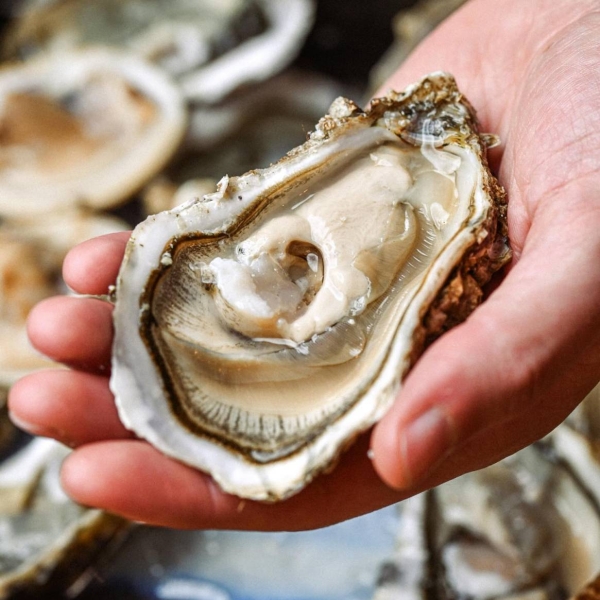 La carte - Le Cheval Blanc - restaurant LAMORLAYE